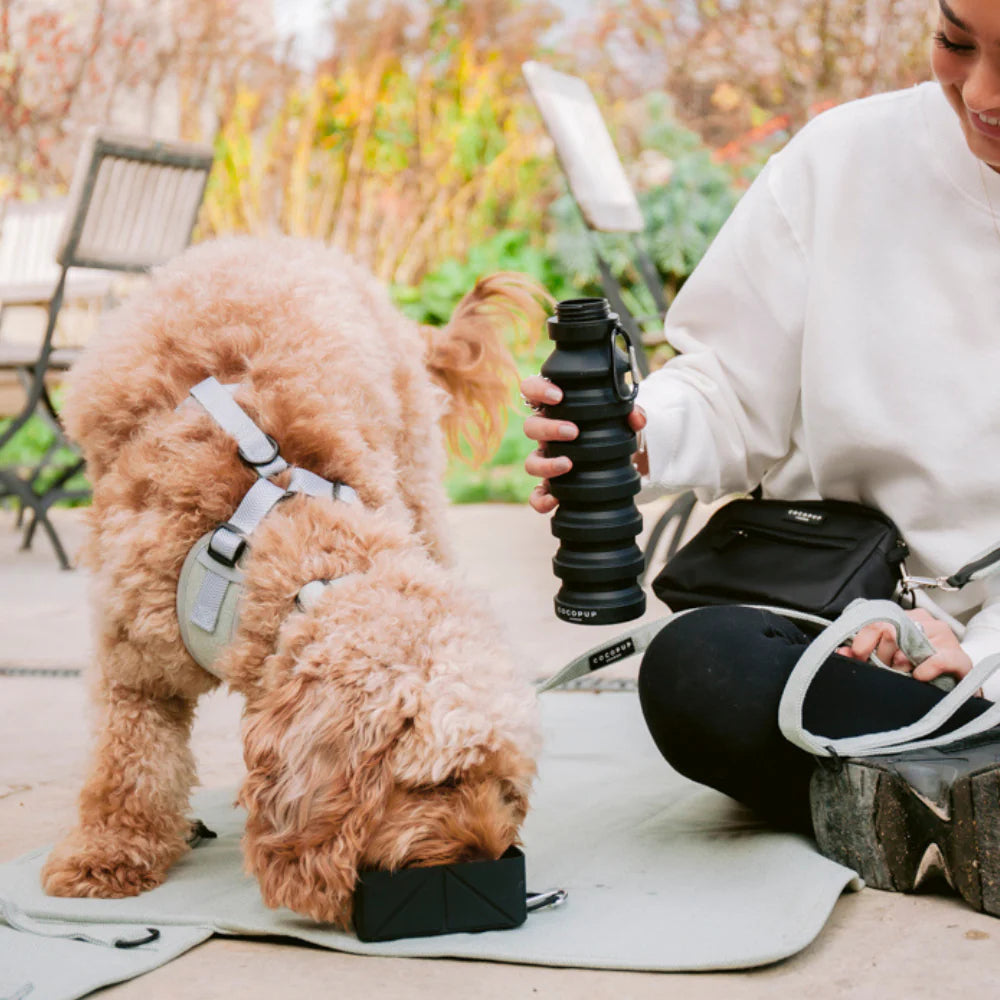 Foldable Travel Bowl