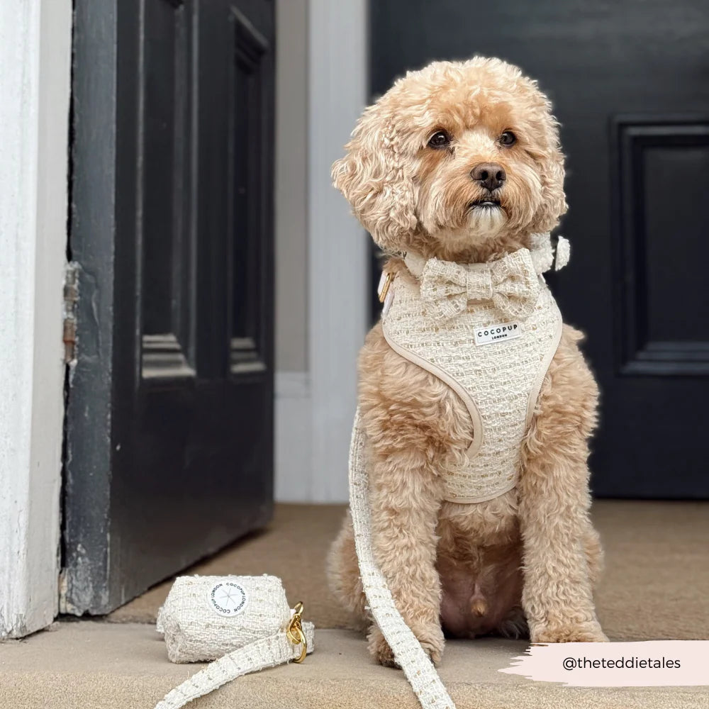 Vanilla Textured Tweed Lead