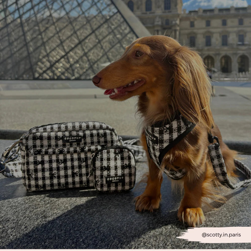 Pup In Paris Adjustable Neck HARNESS