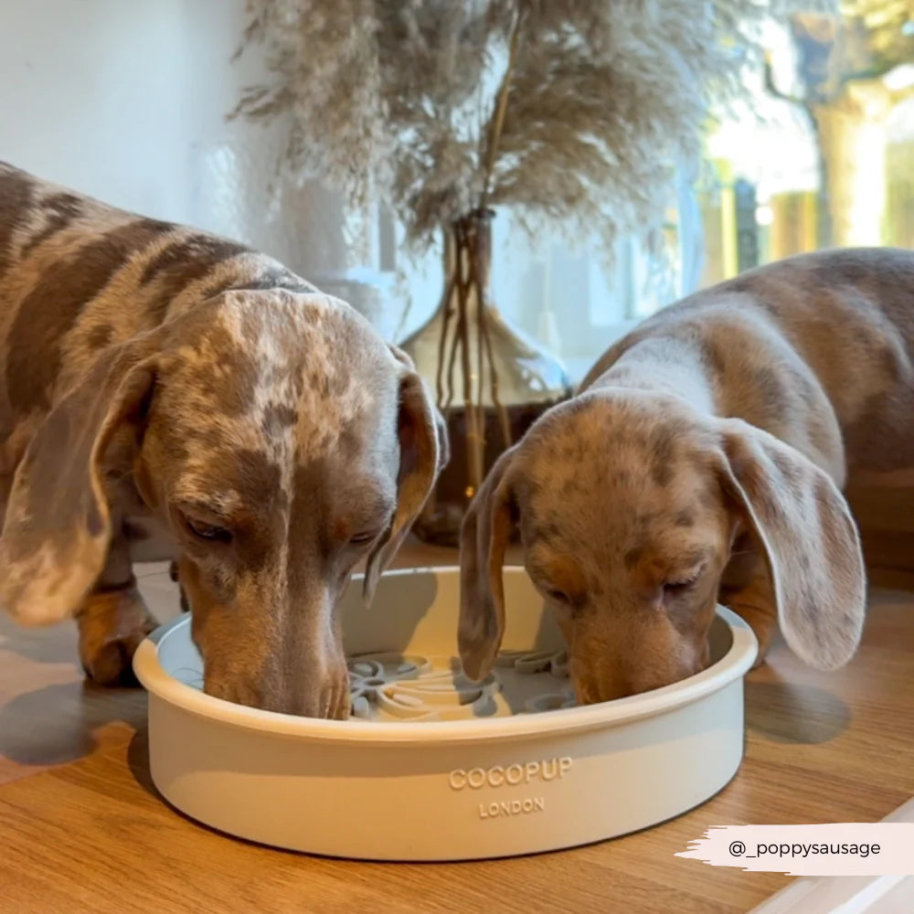 Silicone Slow Feed Dog Bowl